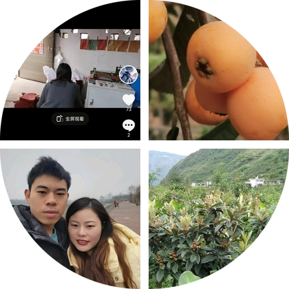 永善枇杷交流群 群聊头像