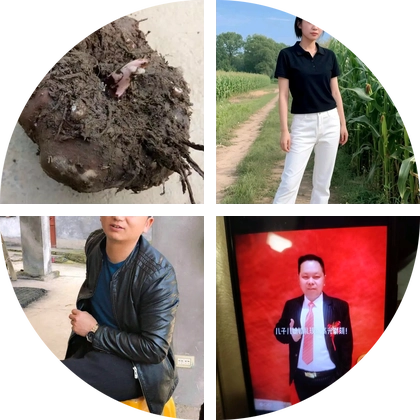 魔芋种植技术咨询 群聊头像