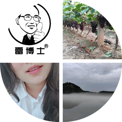 雷博士技术服务团2群 群聊头像