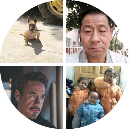 马犬交流 群聊头像