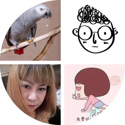 鹦鹉交流群 群聊头像