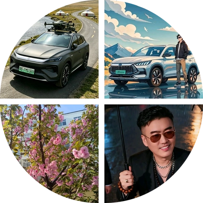 宋PRO用车买车交流群 群聊头像