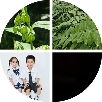 黄精种植一群 群聊头像