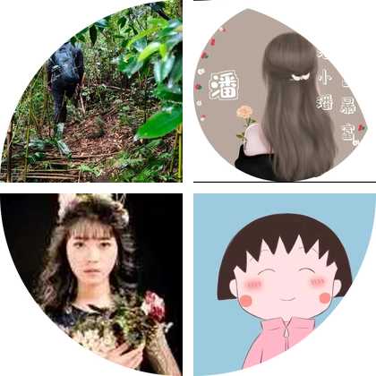 杭州户外挖野菜大队8 群聊头像