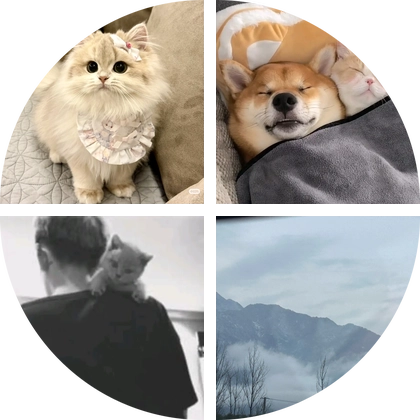 全国首富聚集地 群聊头像