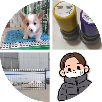 石家庄宠物救助领养，被领养 群聊头像