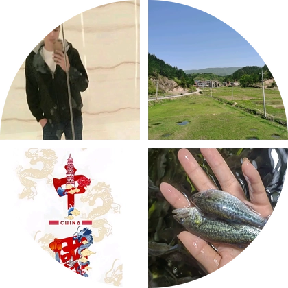 成品鱼收购销售交流群② 群聊头像