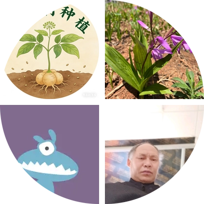 黄精种植管理 群聊头像