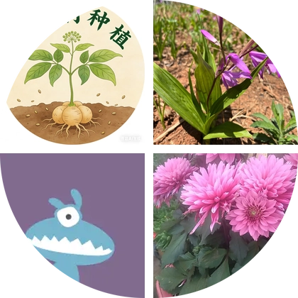 黄精种植管理 群聊头像