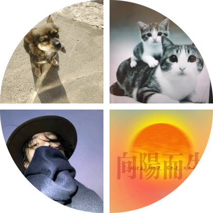 流浪狗狗帮助群 群聊头像