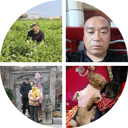 晨光垂钓园 群聊头像