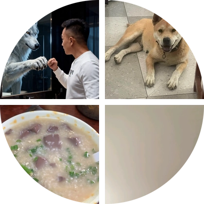 中华田园犬交流群 群聊头像
