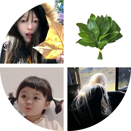 张凌赫粉丝群 群聊头像
