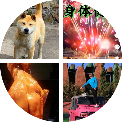 爱狗人士 群聊头像