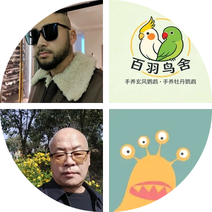 养鹦鹉，开路虎 群聊头像