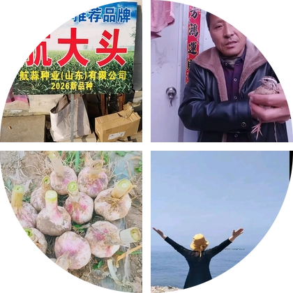 航蒜，航大头高产蒜种3群 群聊头像