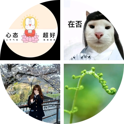 PPT模板获取（1） 群聊头像