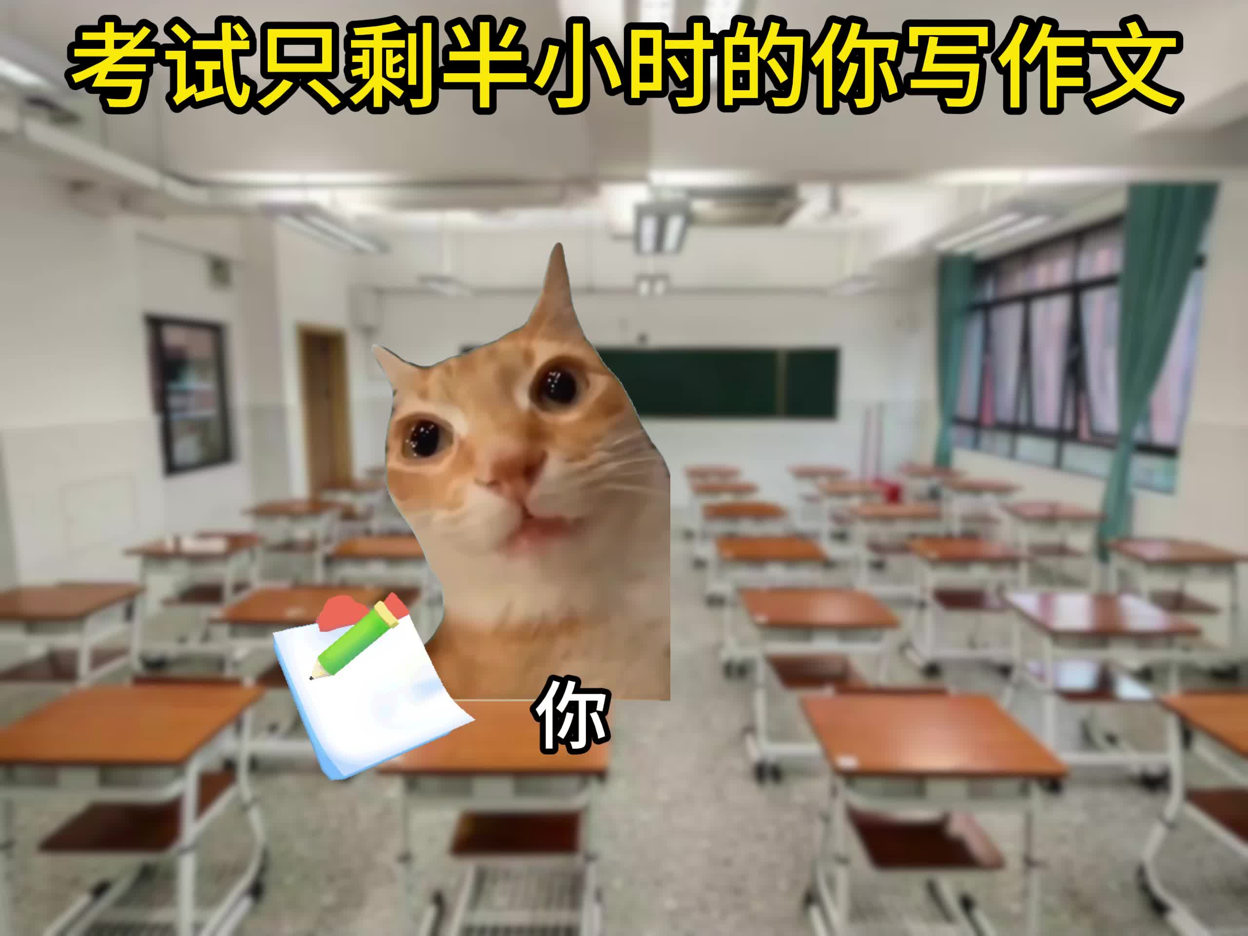 接受第一个表情包的全力一击，你的第一个表情包是什么？#猫meme #搞笑#翻唱-2345少年版，绿色安全的青少年上网导航