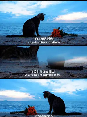 山的后面是什么
不用你告诉我
我会自己去看
#海边 #山的后面是什么 #凡人修仙传#韩立