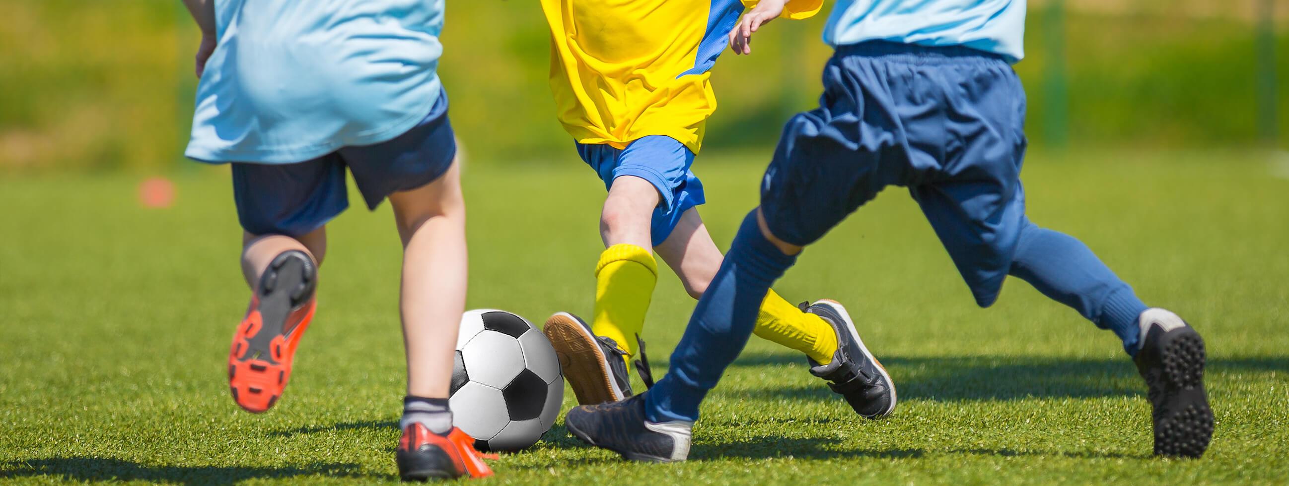 青少年成长(优质内容供给)