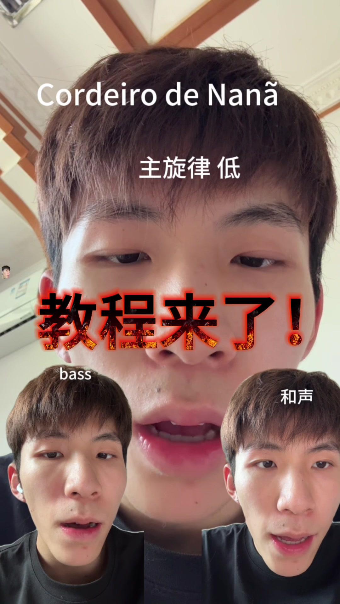 纳尼亚的羔羊翻唱挑战