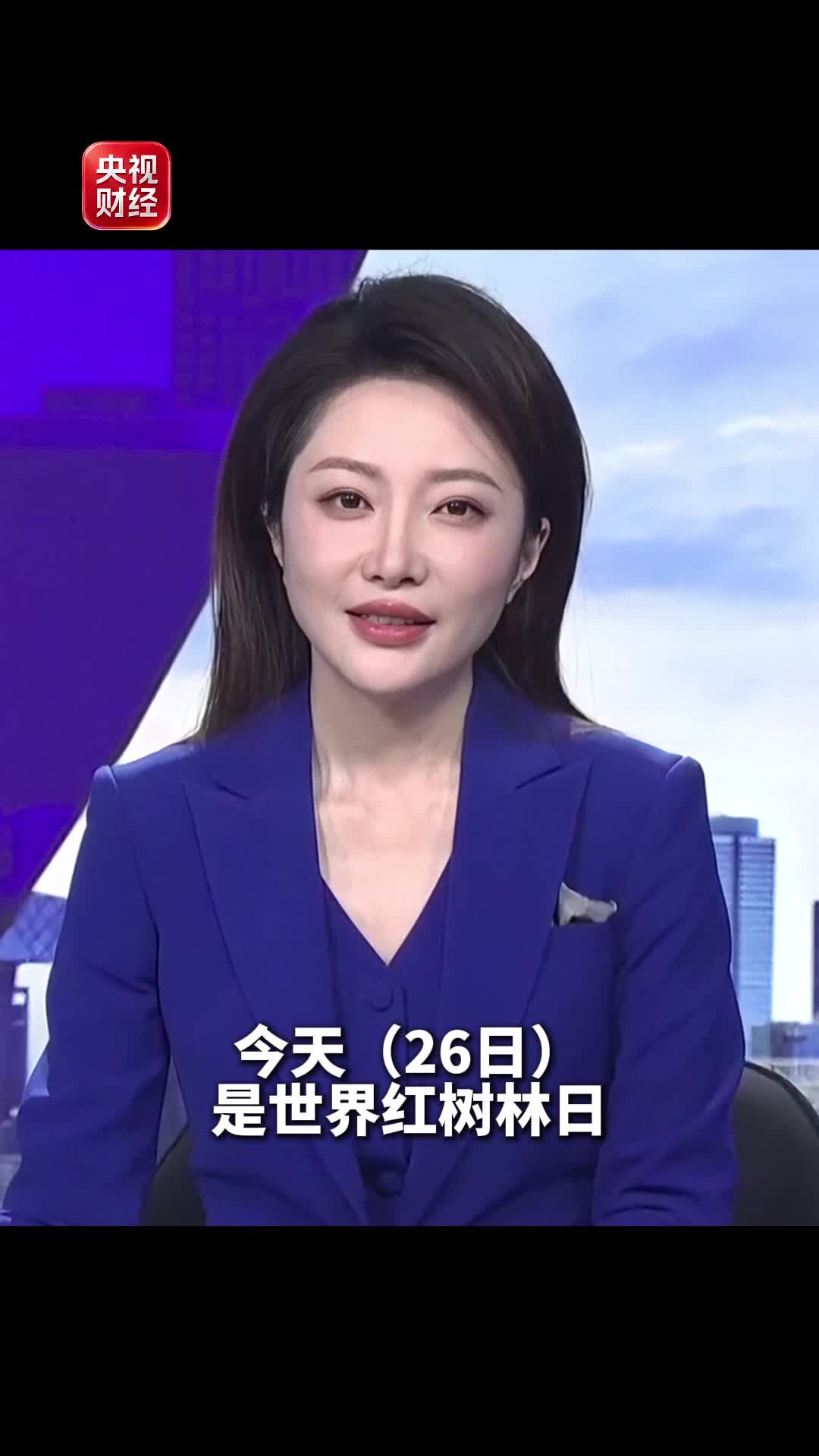 红树林保护获亮眼成绩