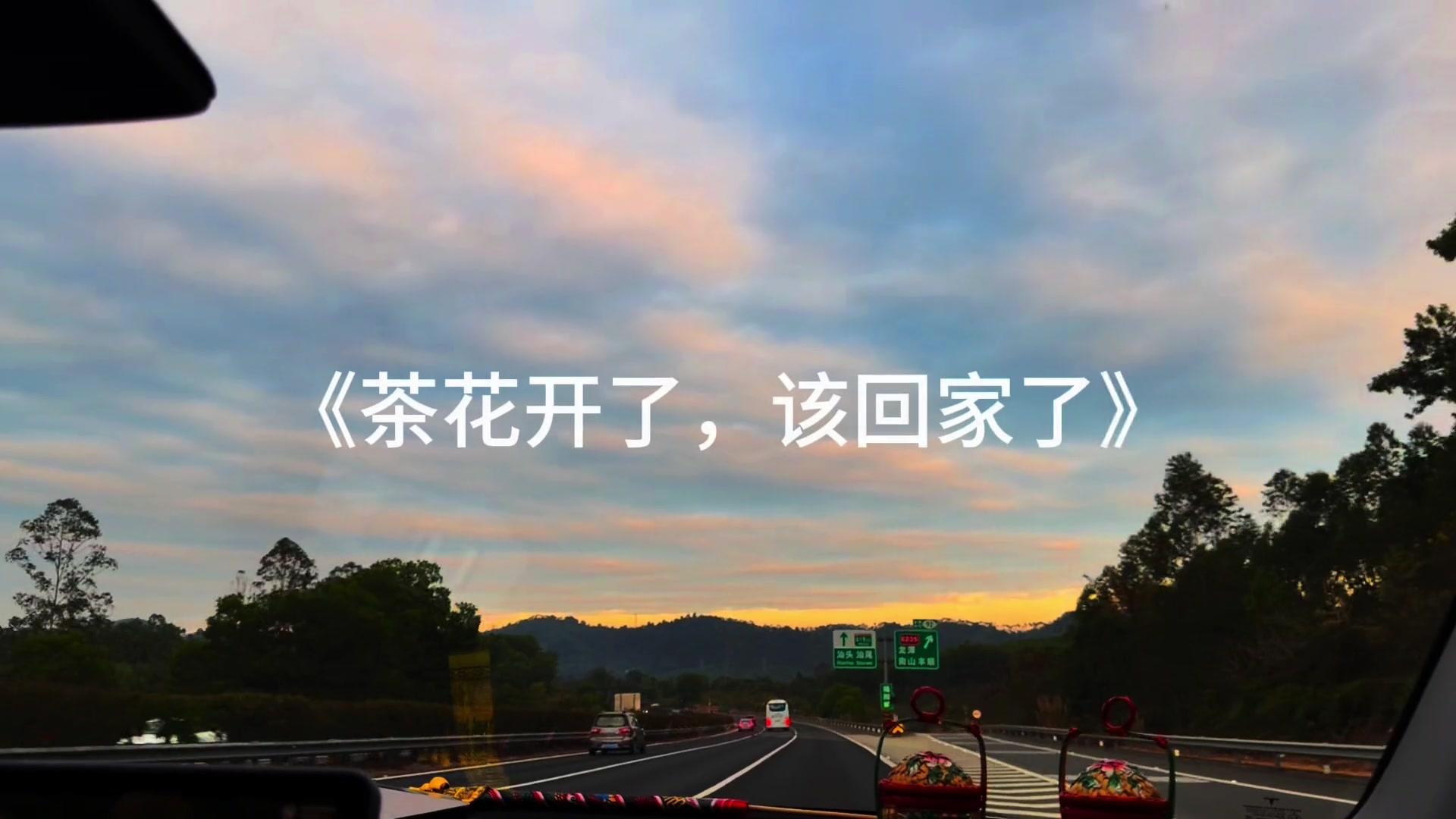 茶花开了该回家了