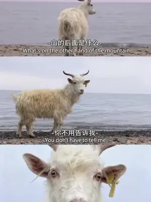 #山的后面是什么 后面是我🤣🤣🤣#听潮阁 #山西 #热点