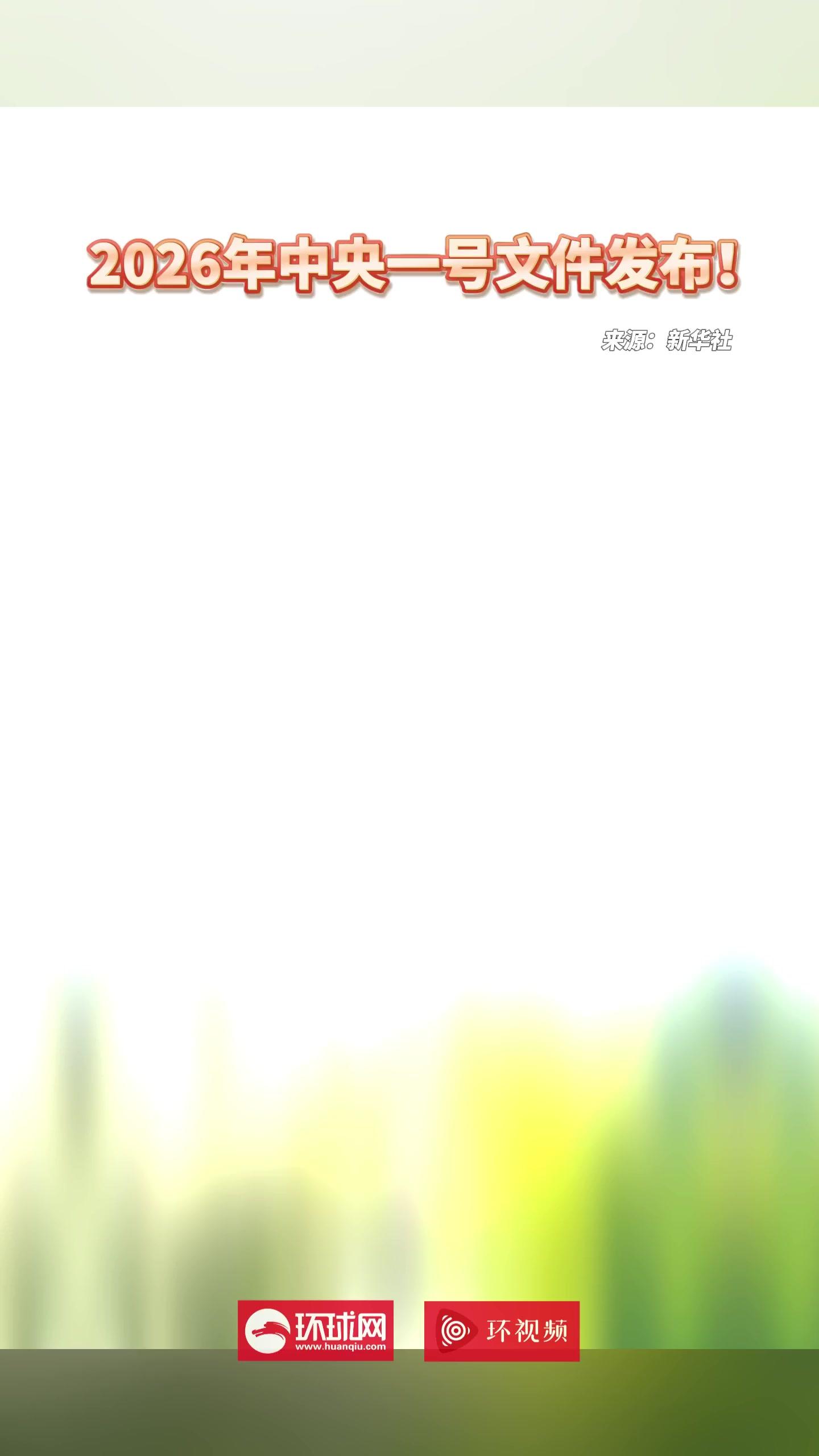2026中央一号文件发布