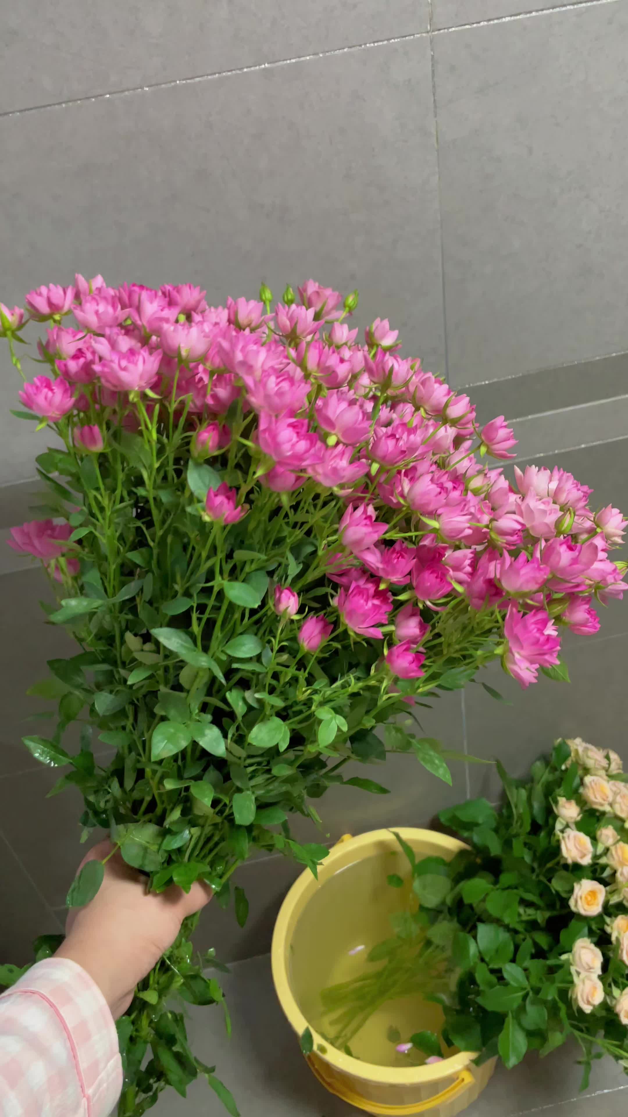 自己买花送自己