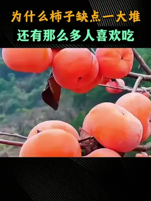 如果幸福是一个柿子蛋糕! #谁懂这口柿子的含金量啊 #星乡村星农人 #双11好美味